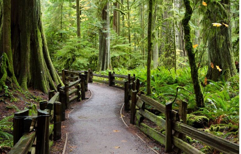 port alberni july